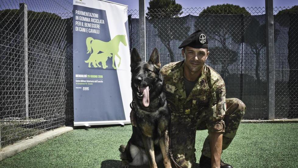 Cemivet e Scandicci Addestratori di cani verso un gemellaggio
