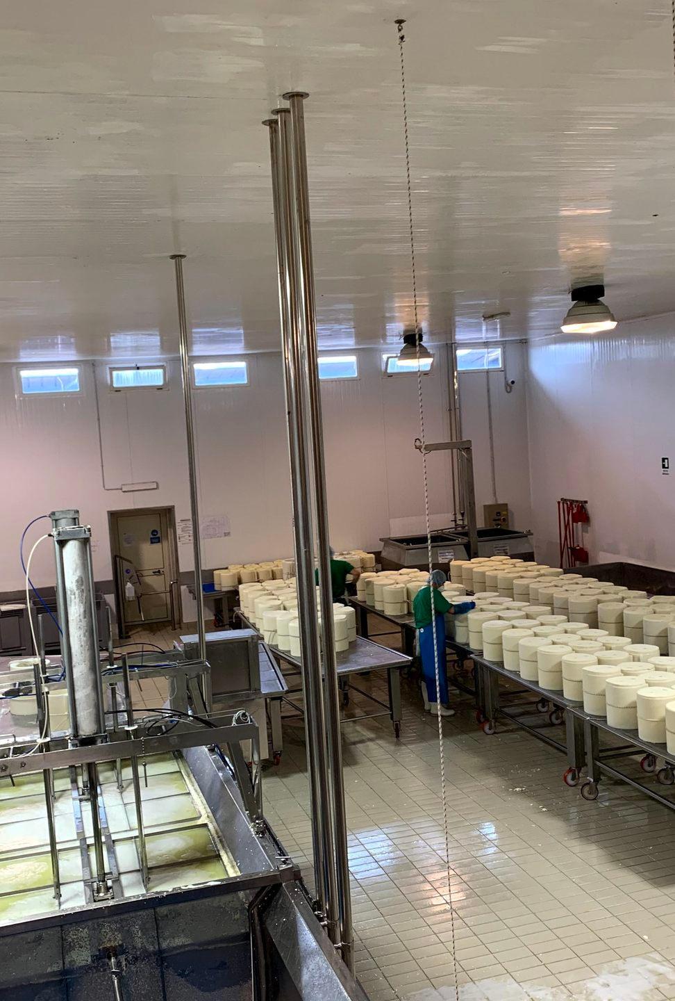 Bilancio ok alla Latteria Sociale di Bonorva