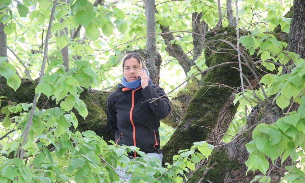 La ragazza salita sull’albero in piazza Statuto per protestare contro l’abbattimento dei tigli