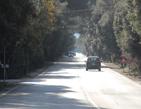La strada della Principessa, che costeggia il Parco di Rimigliano