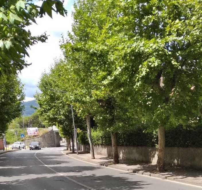 Nuovo asfalto sulle strade si parte dai viali e dalle periferie