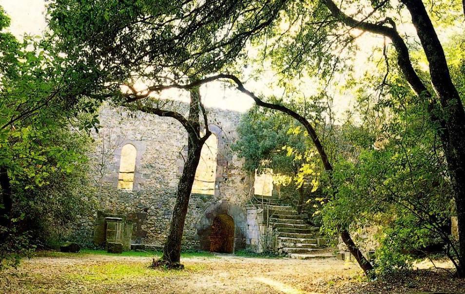 Le “Notti al parco” illuminate da musica e cultura 