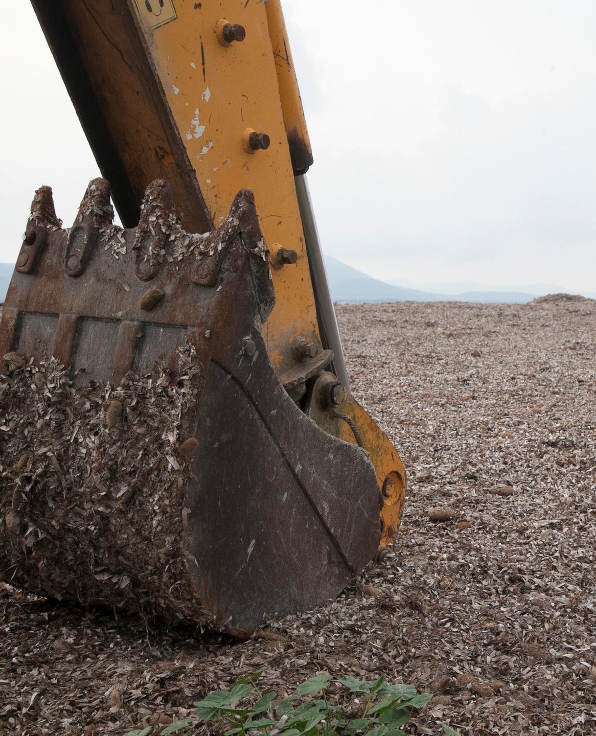 Posidonia, via al bando da cinque milioni di euro 