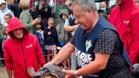 Comacchio libera la tartaruga Moana e chiama Mattarella: no a trivelle in mare