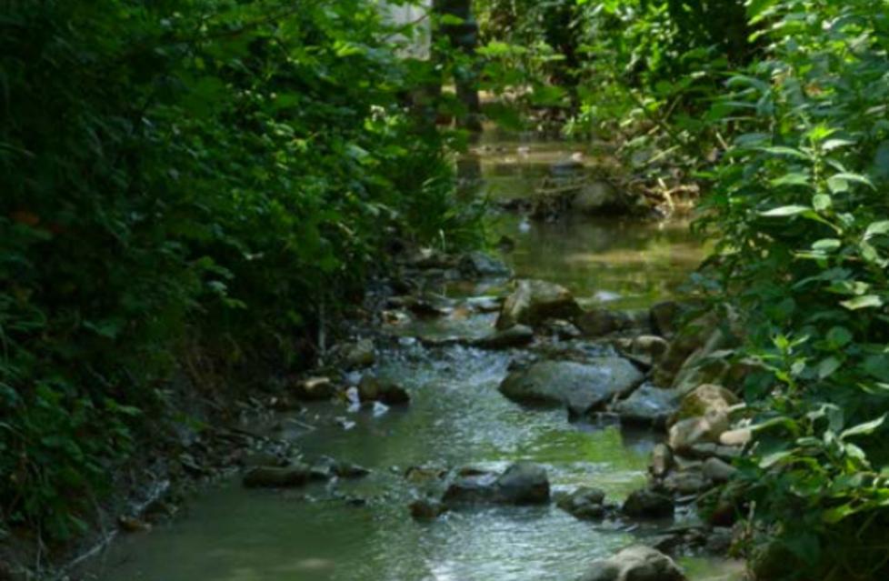 Progetto da 2,5 milioni per il Rio Enzola 