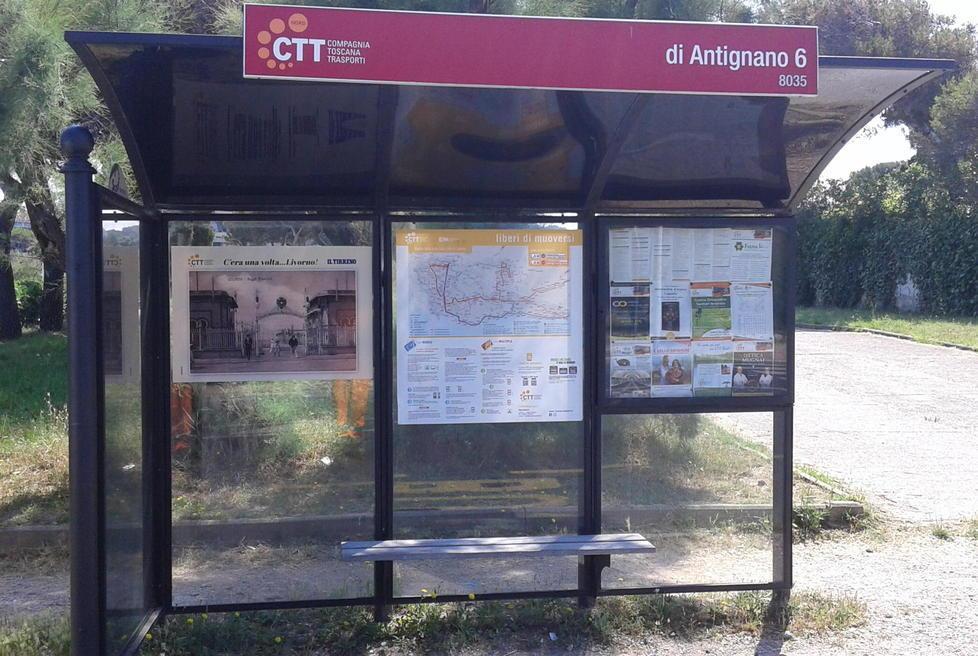 Le pagine del Tirreno alle pensiline dei bus «Così raccontiamo la Livorno d’epoca» 