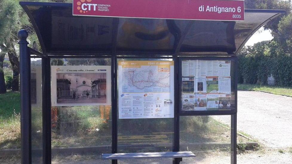 Le pagine del Tirreno alle pensiline dei bus «Così raccontiamo la Livorno d’epoca»