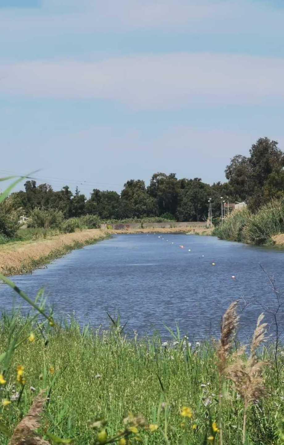 Gli studiosi: «Rischio idrogeologico inferiore» 