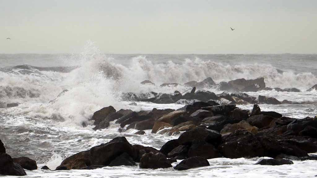 Il tratto di mare in cui la 71enne ha perso la vita