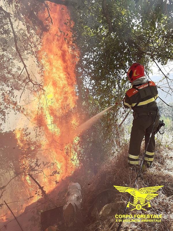 Trentotto incendi in Sardegna, per 11 sono stati necessari elicotteri e Canadair