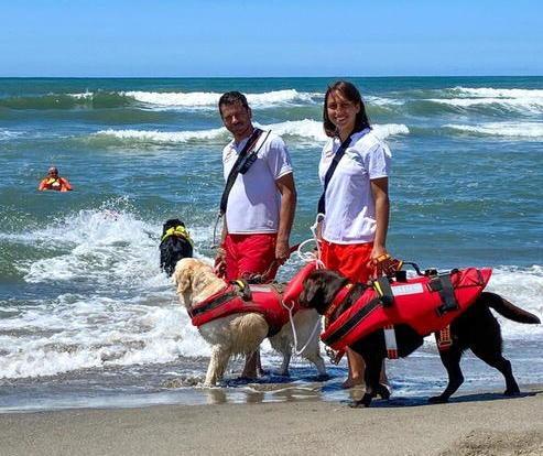 I cani bagnino coi loro conduttori della Scuola italiana cani salvataggio di Firenze