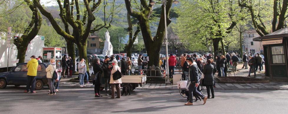 Ancora scintille tra sindaco e il comitato pro-alberi
