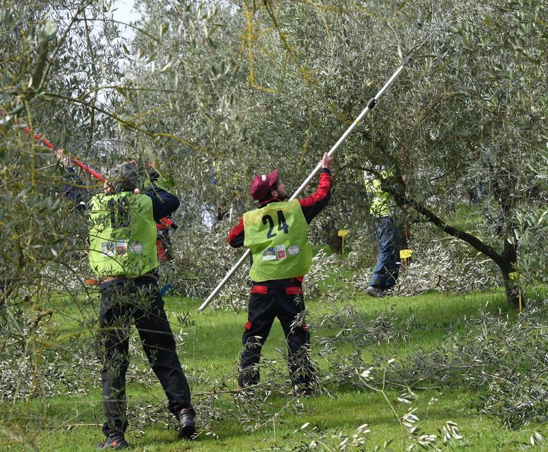 «Prodotti a buon mercato ma nel rispetto della dignità»