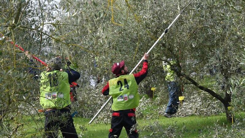 «Prodotti a buon mercato ma nel rispetto della dignità»