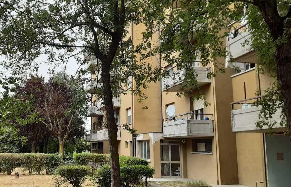 «Da ormai tre mesi non vengono svuotati i bidoni della carta» 