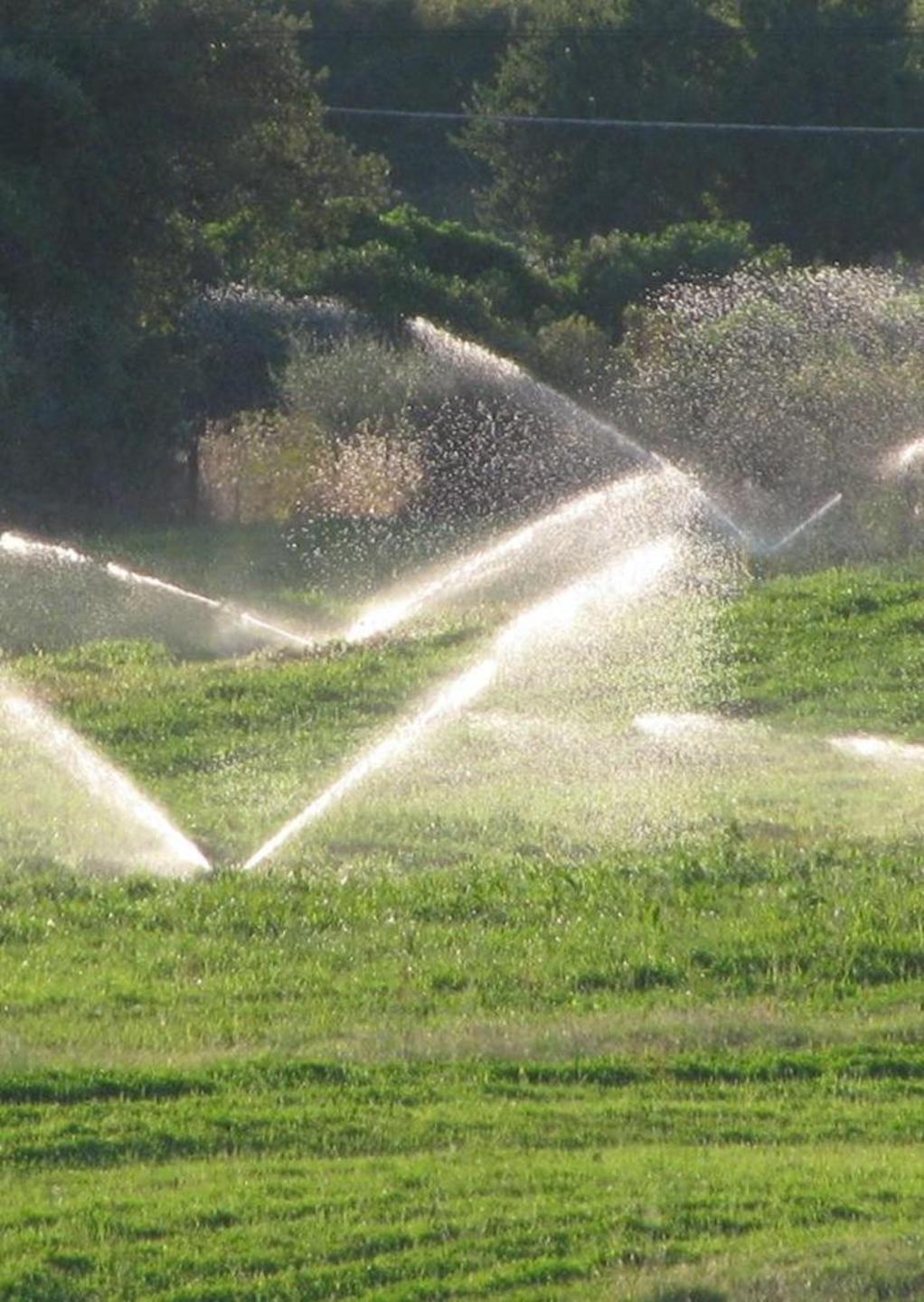 Il consigliere Pigliaru e Copagri: «Cartelle pazze sui ruoli 2018»