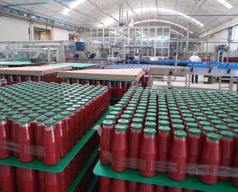 Le linee di produzione dello stabilimento Italian Food a Venturina Terme