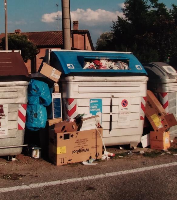 Rifiuti abbandonati fuori dai cassonetti 