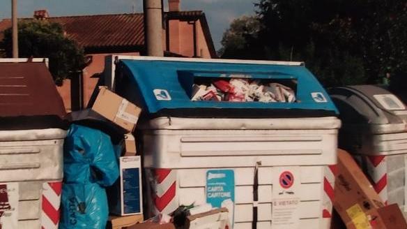 Rifiuti abbandonati fuori dai cassonetti