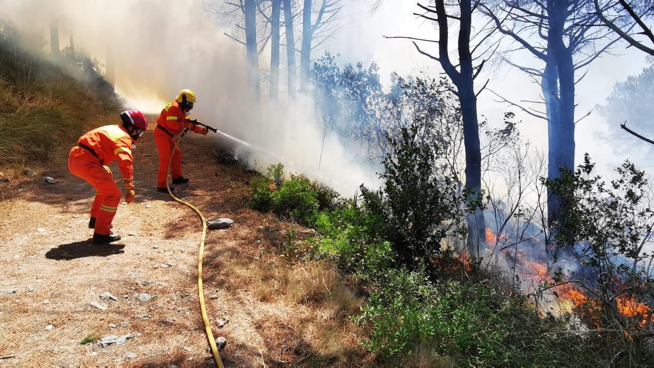 Terzo incendio in pochi giorni nella zona di Capo d'Arco