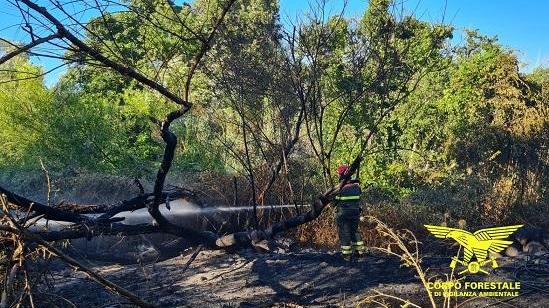 Diciassette incendi in Sardegna: i più gravi a Ittiri, Olbia e Bonarcado 