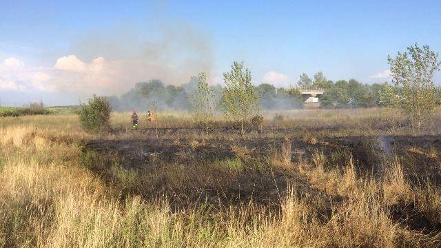 Treni cancellati per un incendio tra San Miniato e San Romano