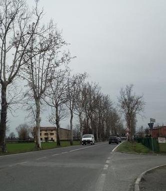 Due autovelox fissi sulla Romana Sud Iniziata l’installazione