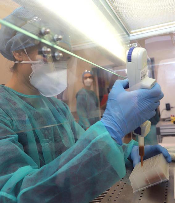Coronavirus, sono 54 i nuovi positivi a Reggio Emilia 