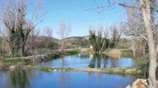 Falda, cresce il livello d’acqua e arretra l’intrusione salina