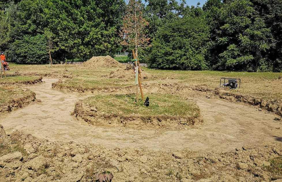 Gli studenti fanno i turni per accudire gli alberi del parco al Russell 