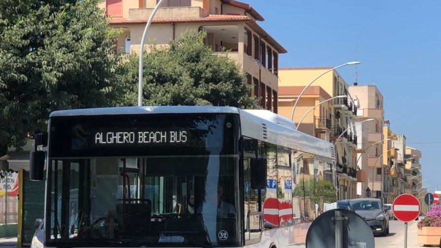 «Troppi passeggeri sull’autobus» Turista denuncia il fatto ai vigili