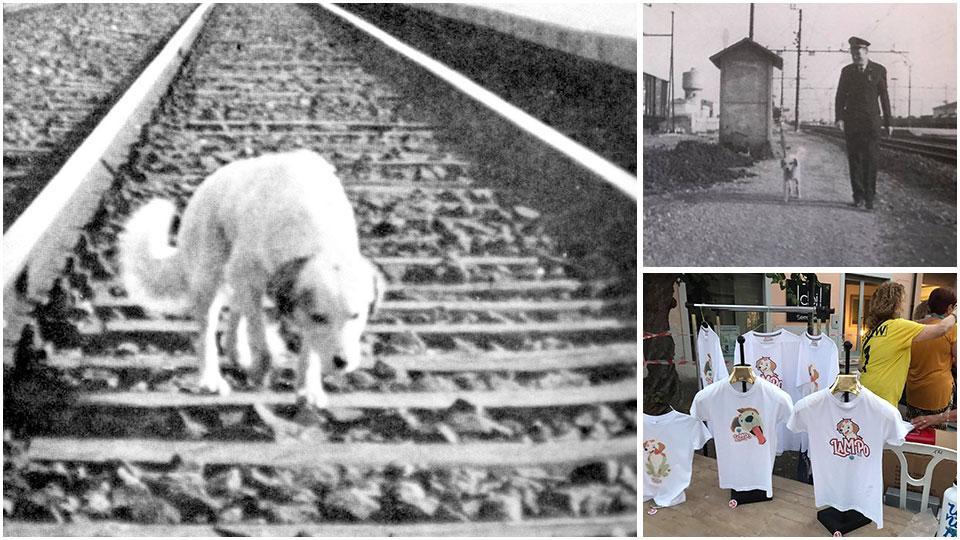 Due immagini storiche di Lampo con Elvio Barlettani e sopra le magliette commemorative