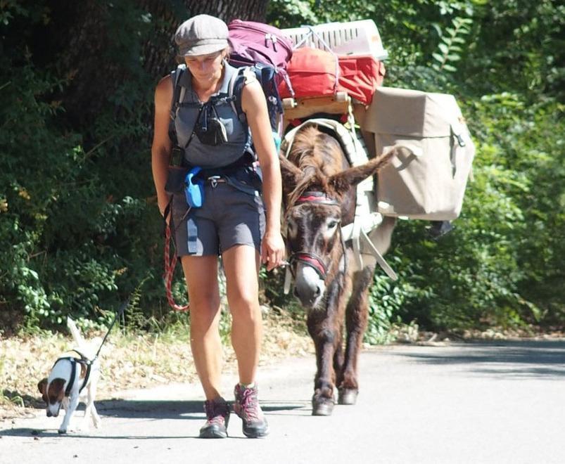 Accoglienza argentana per il trio a 10 zampe 