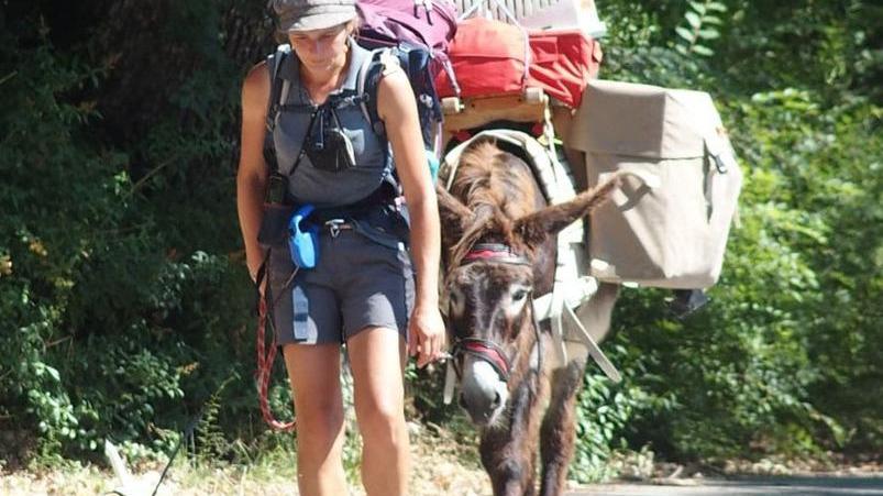 Accoglienza argentana per il trio a 10 zampe