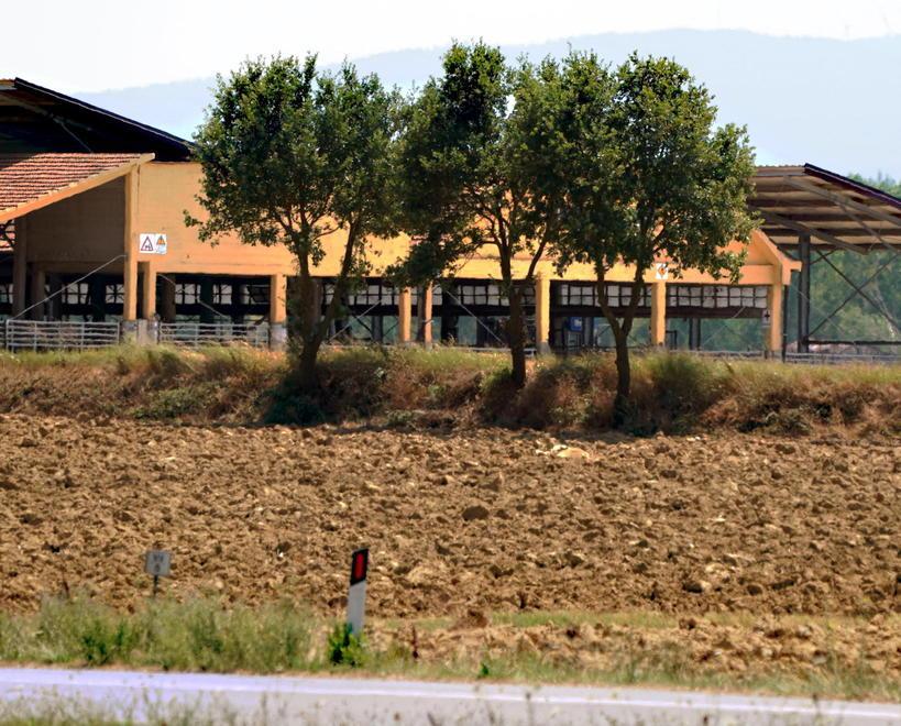Stalla verso il trasferimento e divieto di spandere letame 