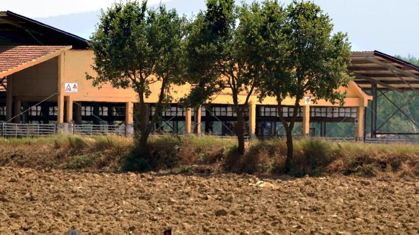 Stalla verso il trasferimento e divieto di spandere letame