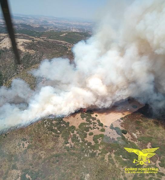 Diciassette incendi in Sardegna, il più grave a San Basilio: bruciati alberi e terreni seminati