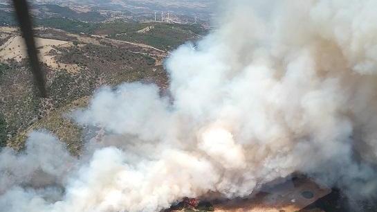 Diciassette incendi in Sardegna, il più grave a San Basilio: bruciati alberi e terreni seminati