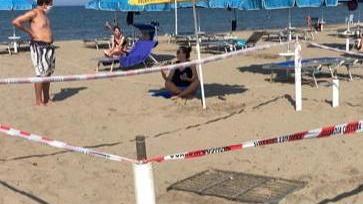 L'area di spiaggia in cui si trova il nido