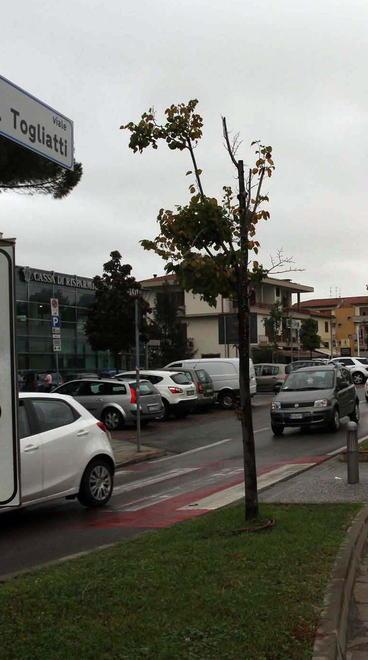 Un tratto di viale Togliatti, teatro delle corse clandestine