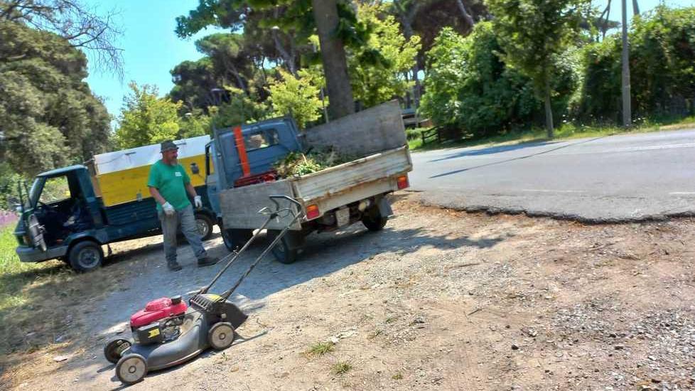 Dondolini (FdI): «Secchi e non curati gli spazi verdi adottati»
