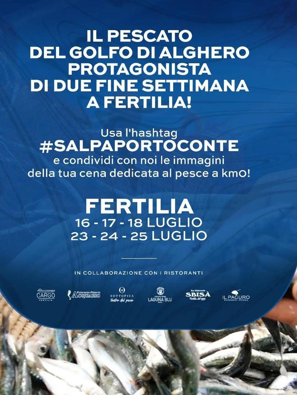 Salpa, il pesce povero protagonista 