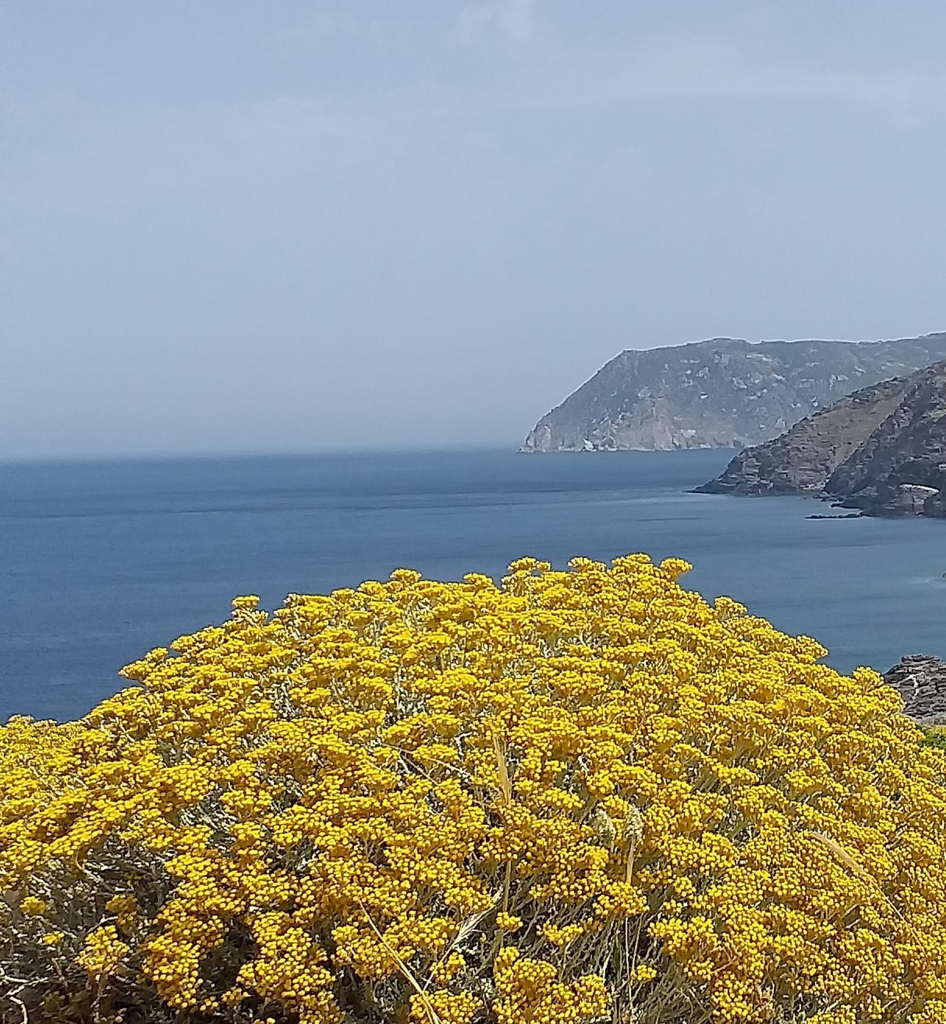 Il Parco in diretta web sui temi ambientali con l’ateneo messicano Marista di Merida
