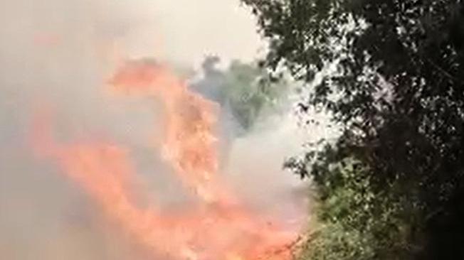 Ancora fiamme in Sardegna, oggi bollino rosso per l'alto rischio di incendi