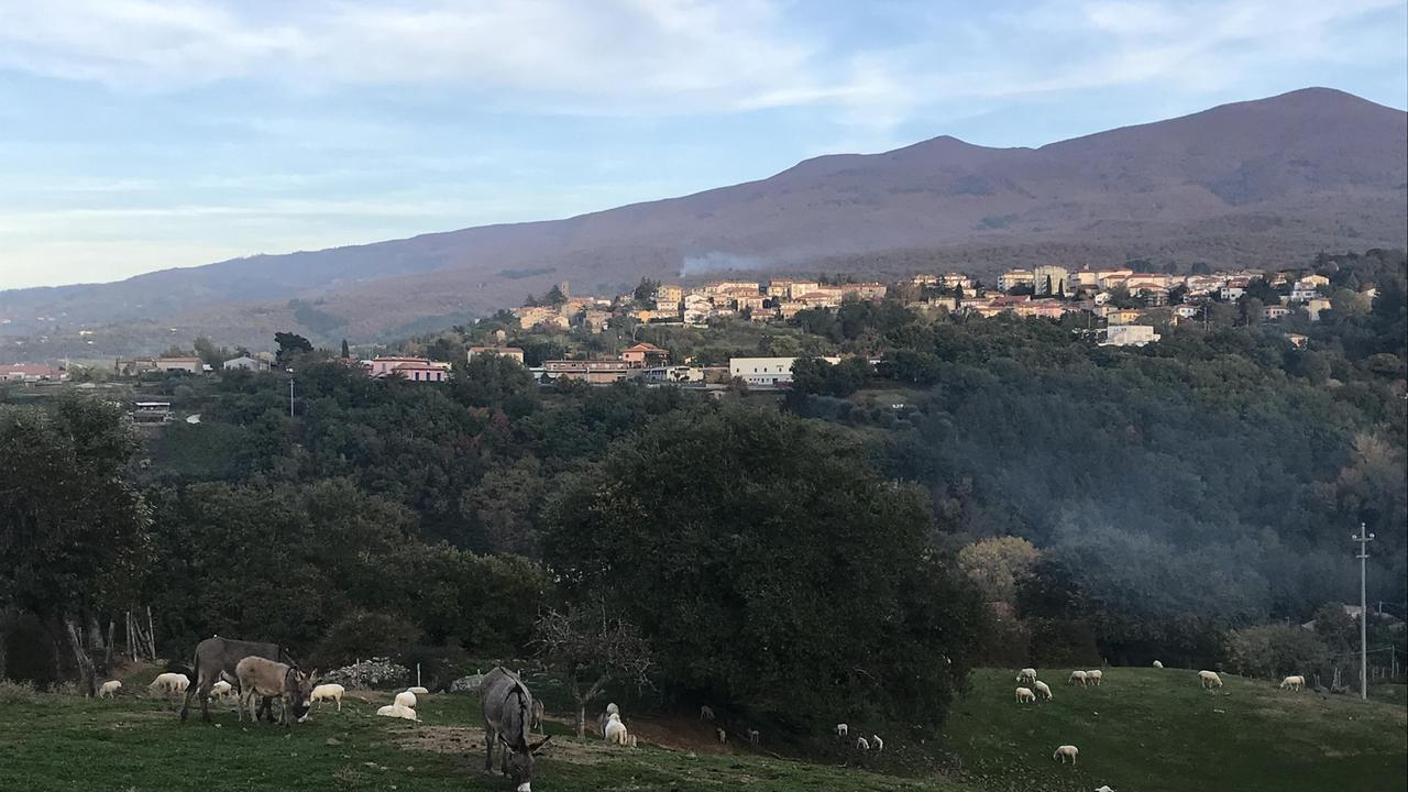 Una veduta del Monte Amiata