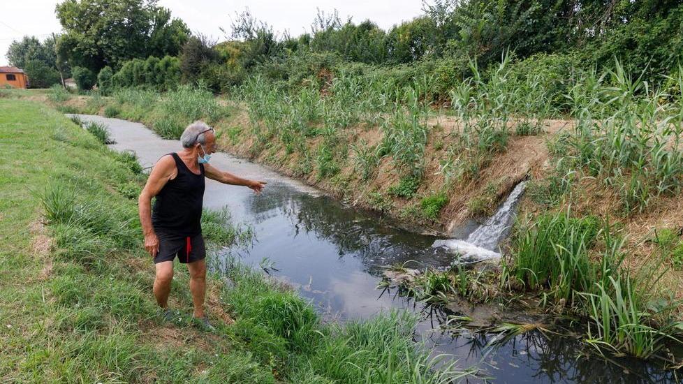 I fossi maleodoranti della frazione del Vasone: i cittadini sono esasperati dai miasmi