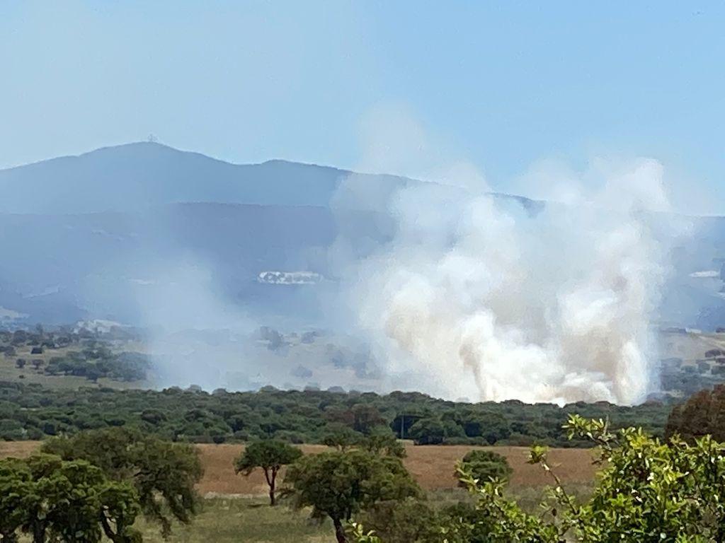 Incendi, il 25 luglio allerta massima: per Gallura, Nuorese e Oristanese "pericolo estremo" 