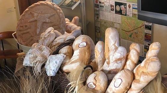 Nasce “Le vie del pane” Altopascio è capofila