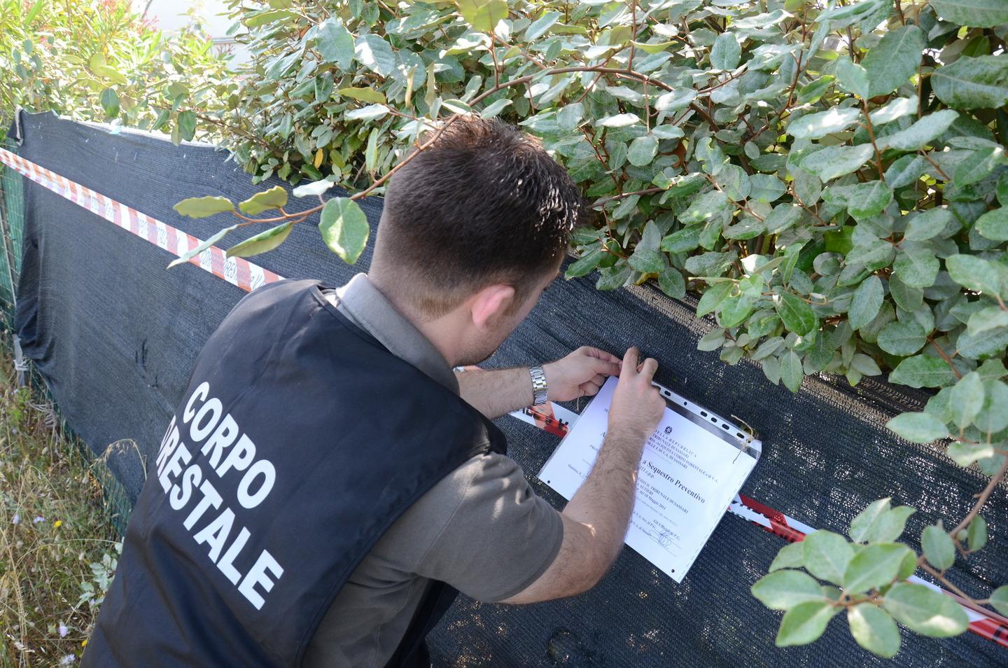 Villa Nizzi, svolta al Tar: «Gli abusi sono sanabili» 