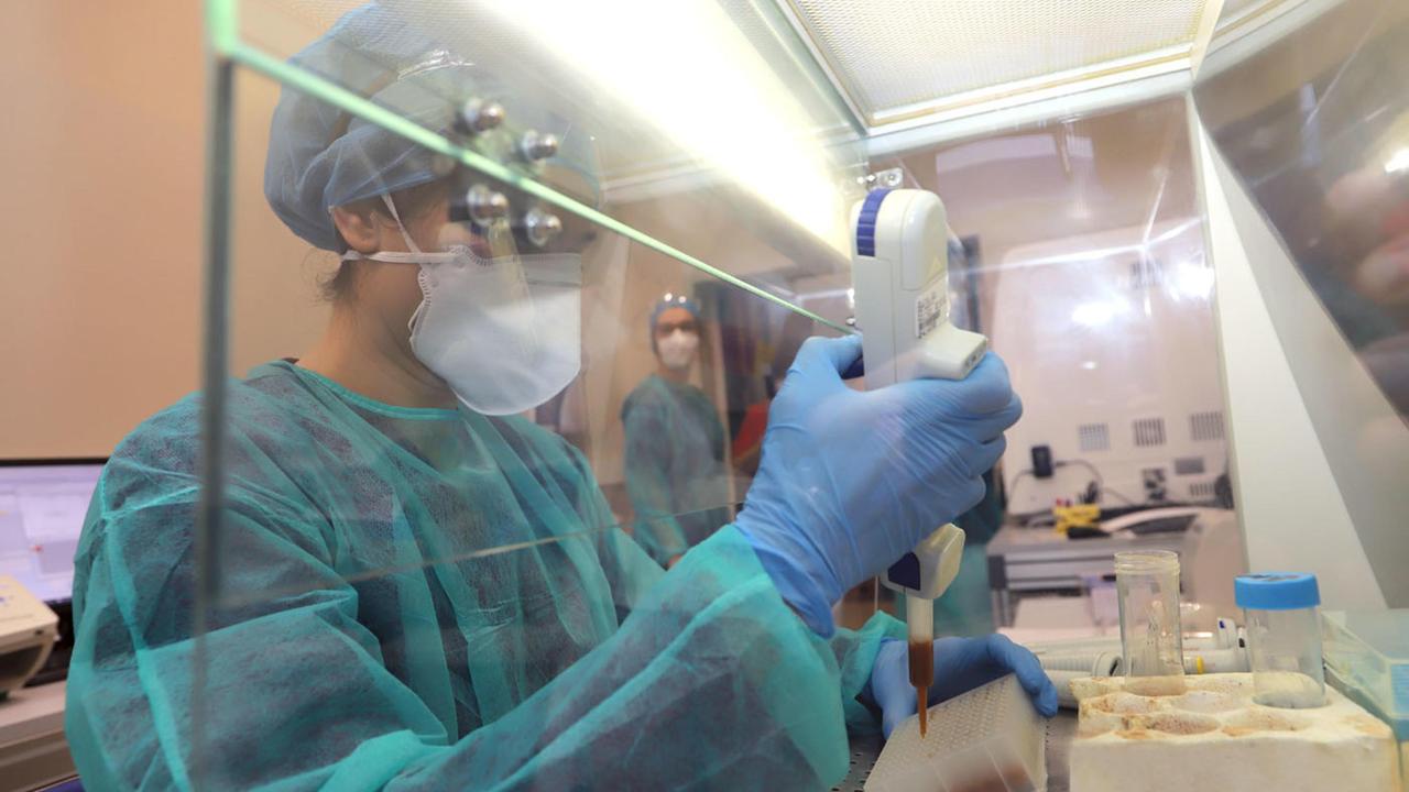 Covid, nel Ferrarese altri due ricoveri e sedici contagi